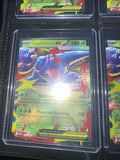 Mega HeraCross Ex