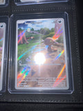 Full Art Paldean Wooper